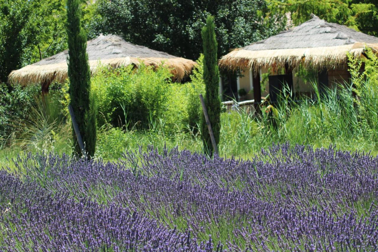 Lavand'Ange Et Spa Sarrians Exterior foto