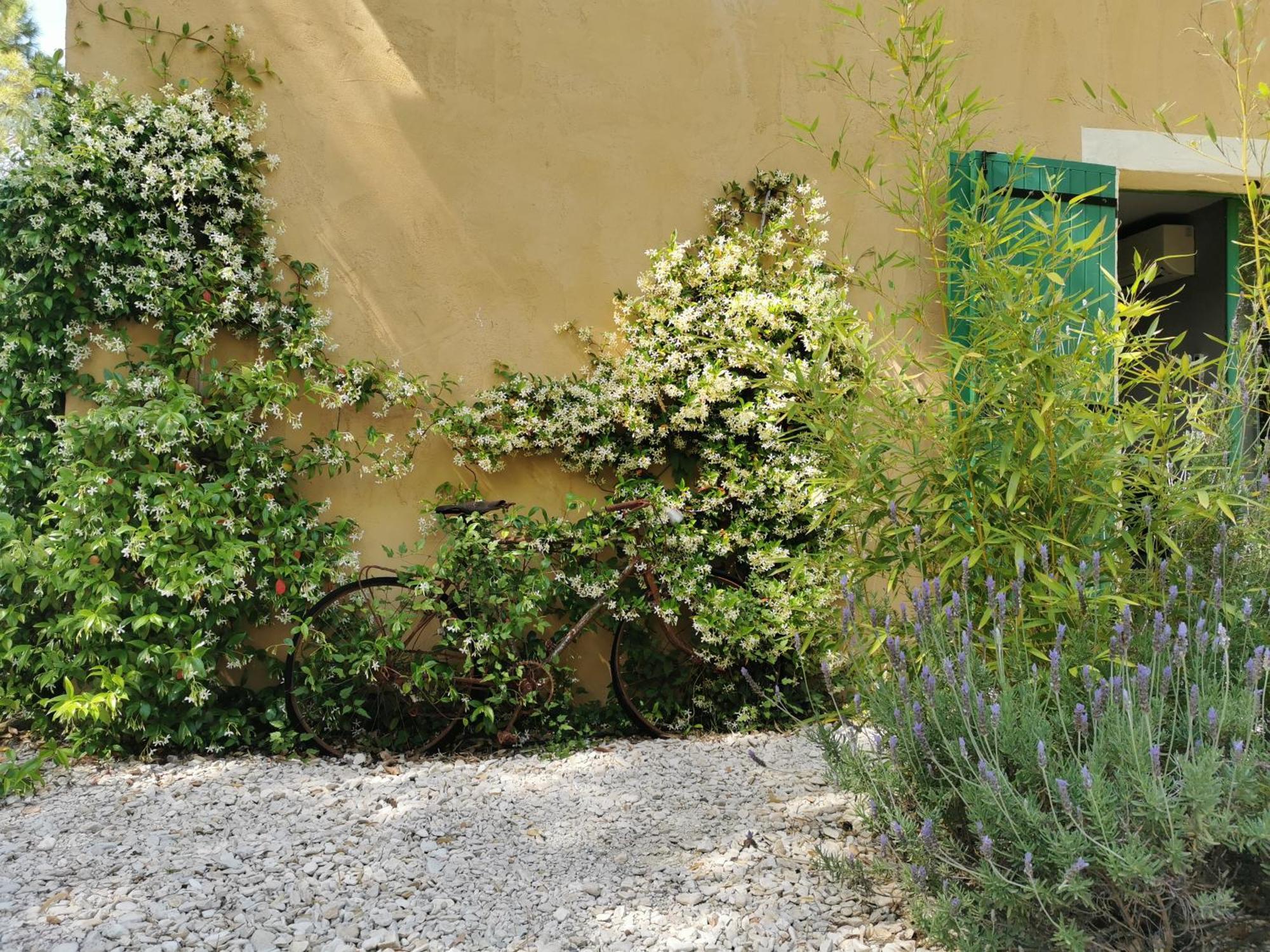 Lavand'Ange Et Spa Sarrians Exterior foto